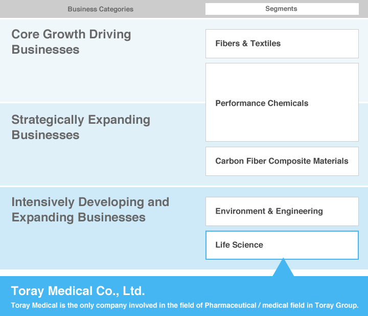 Toray Group Segments